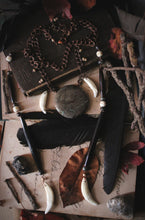 Load image into Gallery viewer, Season of the Witch, Pt.I | Drawing Down the Moon. Jasper, Horn & Coyote Tooth Necklace.