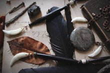 Load image into Gallery viewer, Season of the Witch, Pt.I | Drawing Down the Moon. Jasper, Horn & Coyote Tooth Necklace.