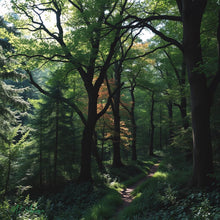 Load image into Gallery viewer, The Sacred Grove. Storyteller Series. SECOND EDITION.  Hand Crocheted Infinity Scarf.
