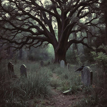 Load image into Gallery viewer, Lorincroft Cemetery. Storyteller Series. Hand Crocheted Fringe Scarf.