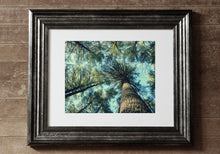 Load image into Gallery viewer, "The Trees | No.1". Original Artwork Photography Print.