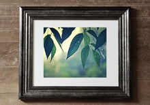 Load image into Gallery viewer, "Quenched". Original Artwork Photography Print.