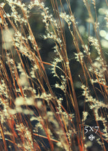 Load image into Gallery viewer, "Lake Flora." Original Artwork Photography Print.