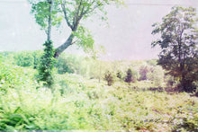 Load image into Gallery viewer, "Woodland Realms | No.3". Original Artwork Photography Print.