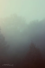 Load image into Gallery viewer, "Foggy Morning". Original Artwork Photography Print.