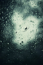 Load image into Gallery viewer, "Itsy Bitsy". Original Artwork Photography Print.