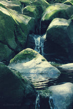 Load image into Gallery viewer, "Green Lagoon". Original Artwork Photography Print.