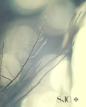 Load image into Gallery viewer, "Familiar Spirit". Original Artwork Photography Print.