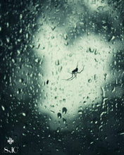 Load image into Gallery viewer, "Itsy Bitsy". Original Artwork Photography Print.