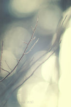 Load image into Gallery viewer, "Familiar Spirit". Original Artwork Photography Print.