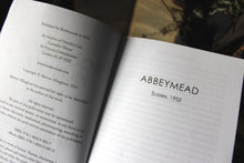Load image into Gallery viewer, PAPERBACK The Bookshop Murder.