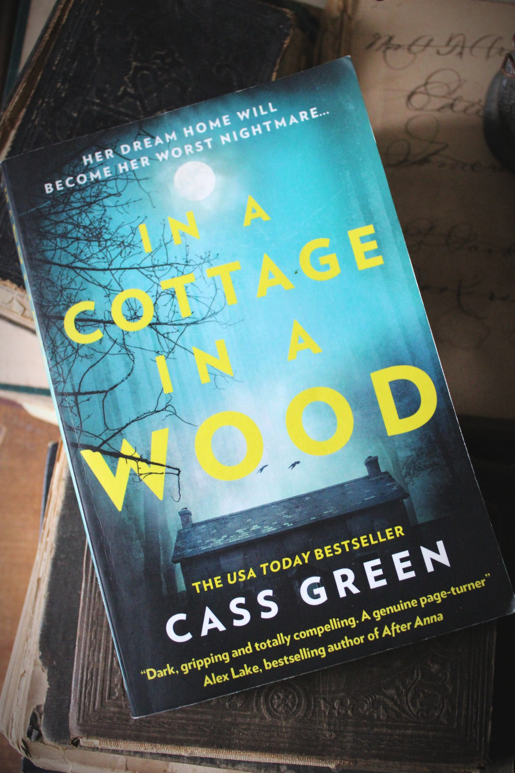 PAPERBACK In A Cottage In A Wood.