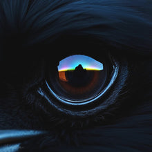 Load image into Gallery viewer, The Eye of Moriarty. Storyteller Series. Antique Glass Button Necklace.