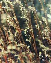 Load image into Gallery viewer, &quot;Lake Flora.&quot; Original Artwork Photography Print.