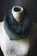 Load image into Gallery viewer, Nine Woods Hollow. Storyteller Series. Hand Crocheted Infinity Scarf.