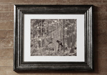 Load image into Gallery viewer, &quot;Quiet Contemplation&quot;. Original Artwork Photography Print.