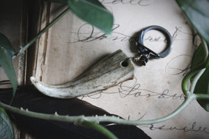 The Sacred Grove | The Gatekeeper, Stag. Woodland Naturally Shed Deer Antler Vintage Key Ring.