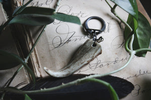 The Sacred Grove | The Gatekeeper, Stag. Woodland Naturally Shed Deer Antler Vintage Key Ring.