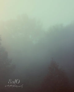 "Foggy Morning". Original Artwork Photography Print.