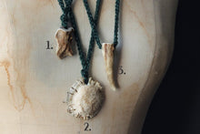 Load image into Gallery viewer, Spirits of Greenwood. Rustic Hand Crocheted Naturally Shed Deer Antler Unisex Necklace.