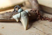 Load image into Gallery viewer, Apex. Unisex Genuine Shark Tooth &amp; Vintage Chain Necklace.