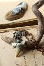 Load image into Gallery viewer, Apex. Unisex Genuine Shark Tooth &amp; Vintage Chain Necklace.