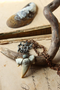 Apex. Unisex Genuine Shark Tooth & Vintage Chain Necklace.