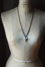 Load image into Gallery viewer, Apex. Unisex Genuine Shark Tooth &amp; Vintage Chain Necklace.