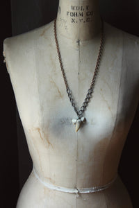 Apex. Unisex Genuine Shark Tooth & Vintage Chain Necklace.