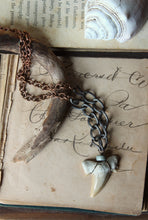 Load image into Gallery viewer, Apex. Unisex Genuine Shark Tooth &amp; Vintage Chain Necklace.